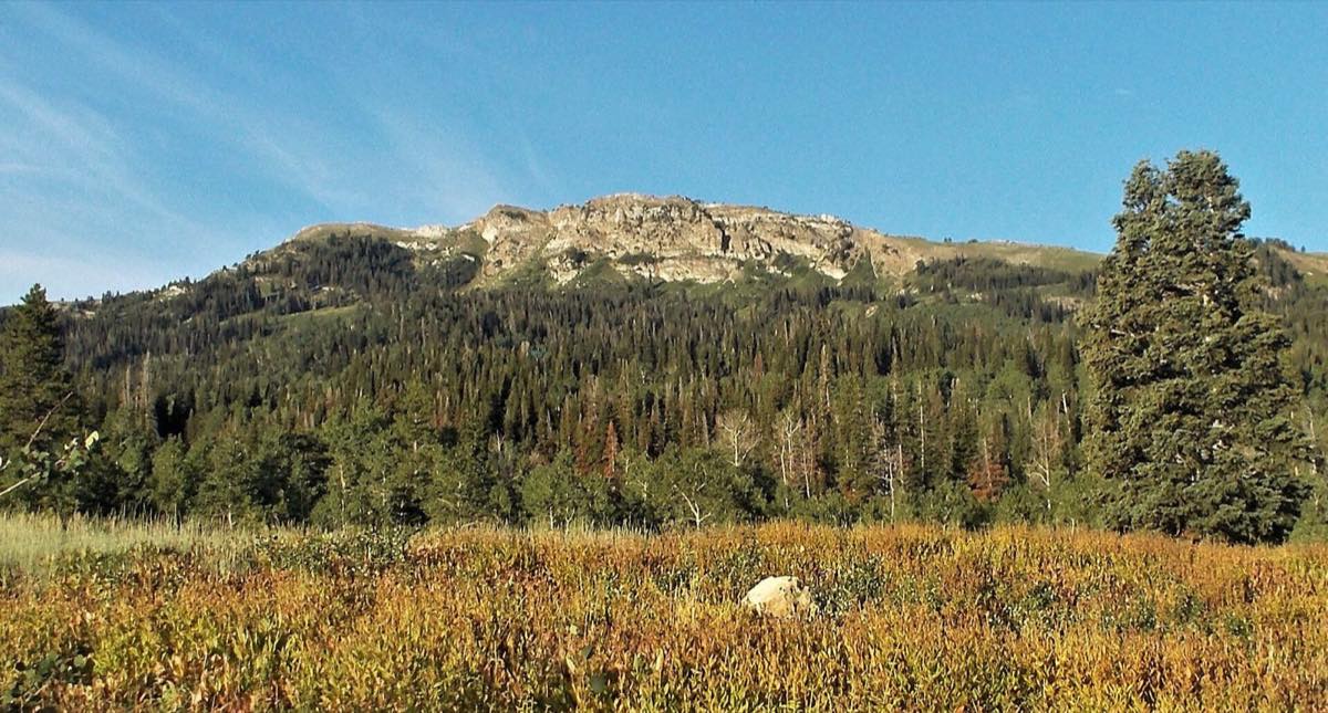 Bountiful Peak in the Wasatch Range seen from Farmington Flats