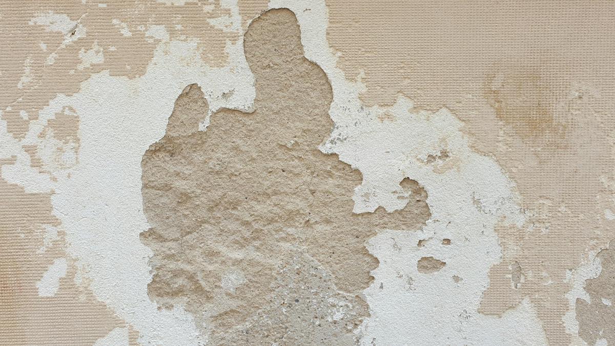 Wall with paint and plaster flaking away after moisture damage