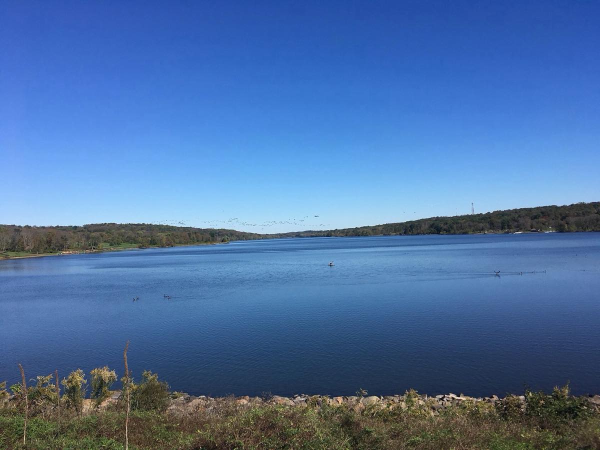 Open blue water of Lake Galena and its wooded shoreline seen from the dam at Peace Valley Park