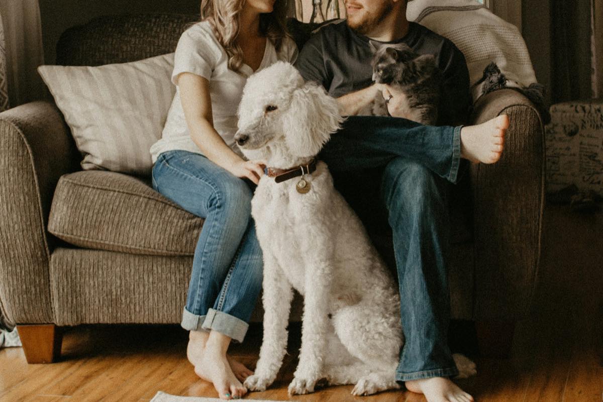 Couple sitting barefoot on a living-room armchair with a white standard poodle and a cat