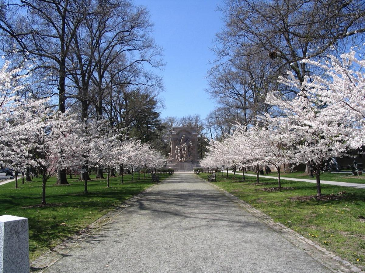 Path lined with cherry blossoms leading to the Princeton Battle Monument at the west end of Nassau Street