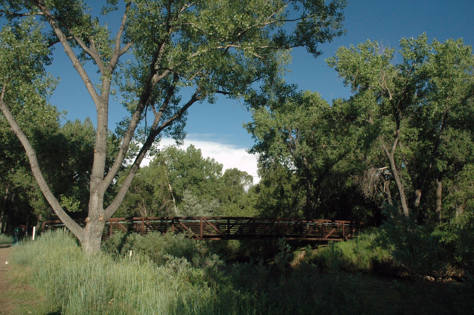Clear Creek Trail footbridge in Prospect Park on the Wheat Ridge Greenbelt, cottonwoods under a blue summer sky